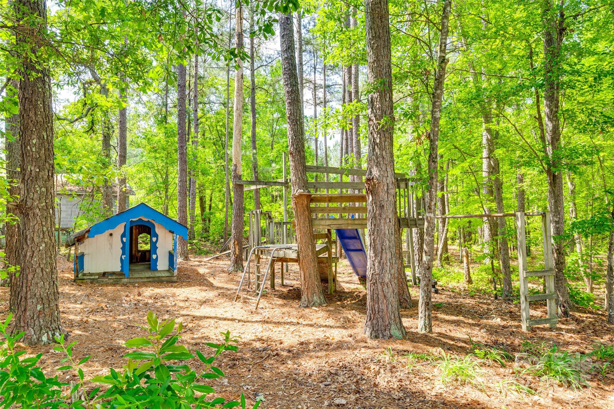 4307 Edgeland Road Edgemoor, SC 29712 - Photo 44 of 48 a house view with a outdoor space