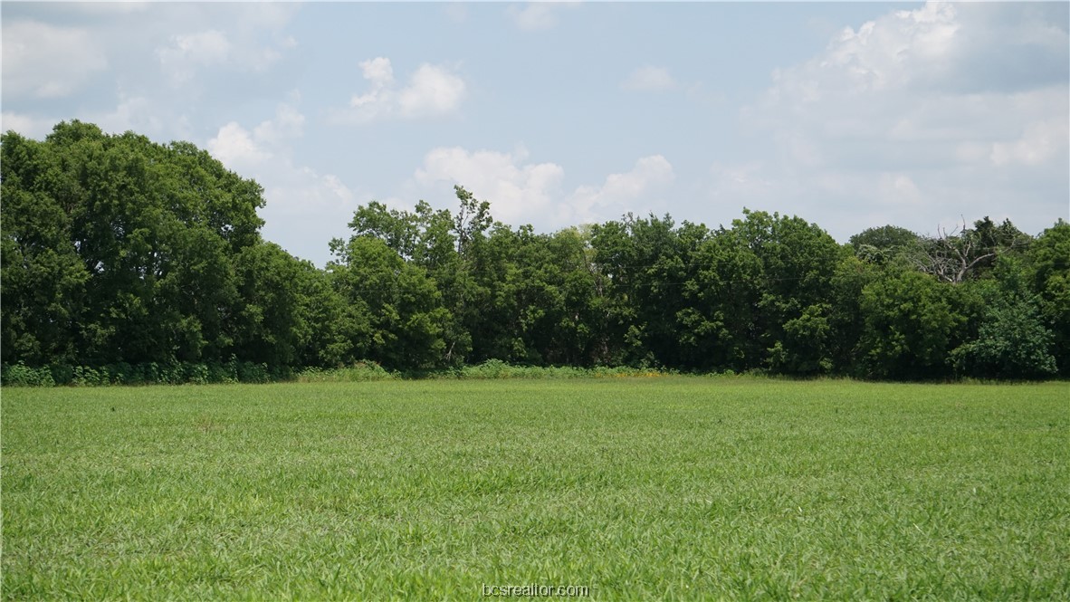 a view of green field with trees in the background