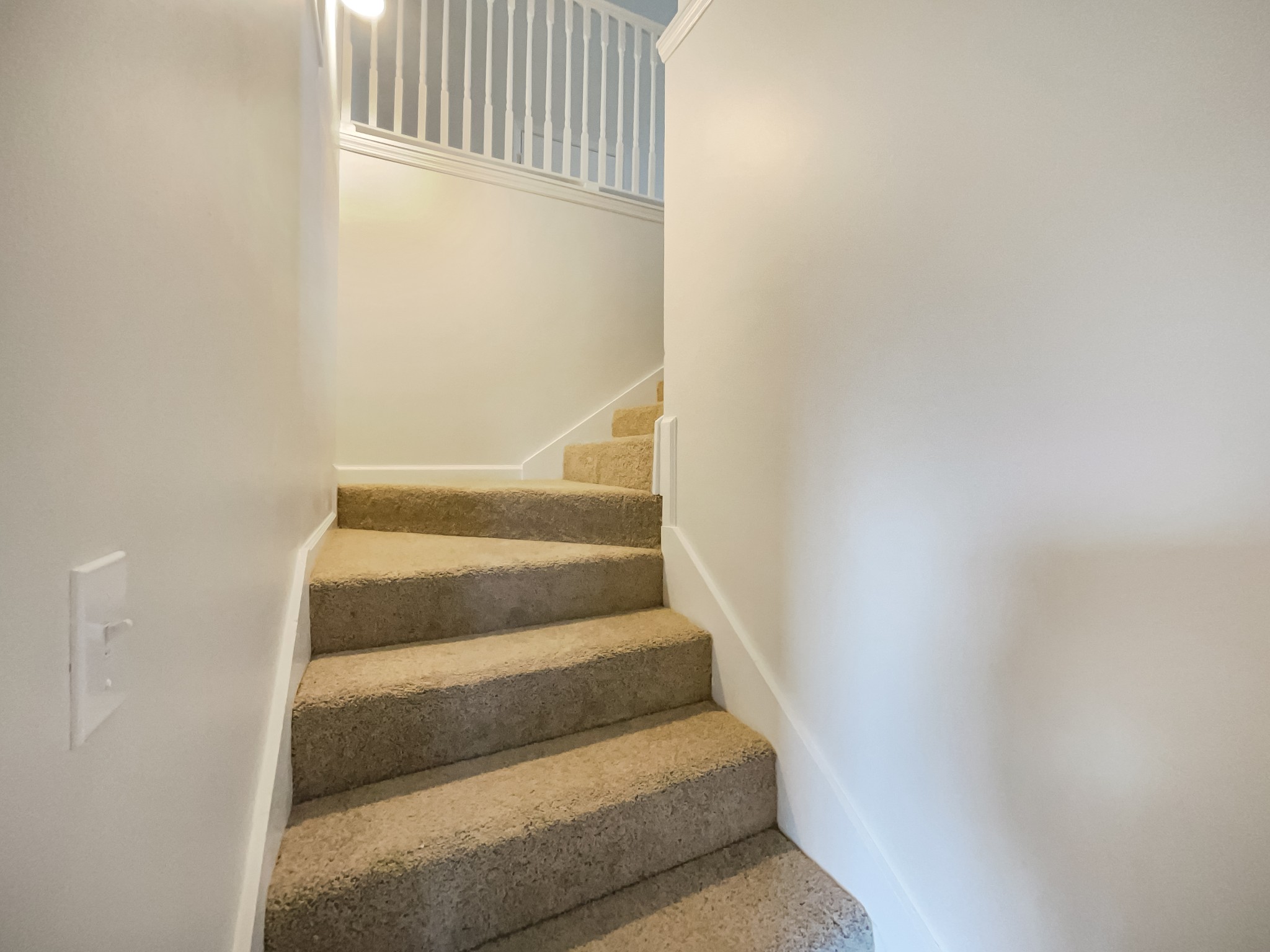 6180 Hoover Road Lascassas, TN 37085 - Photo 10 of 22 a view of entryway