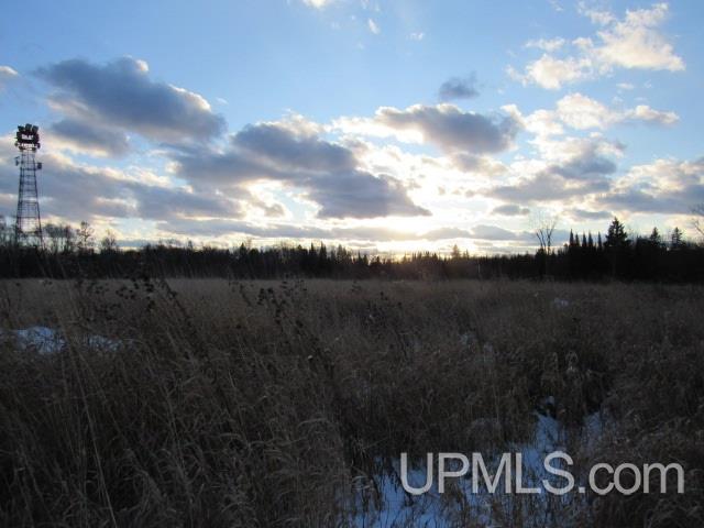 M35 - Tower Road Perkins, MI 49872 - Photo 7 of 15