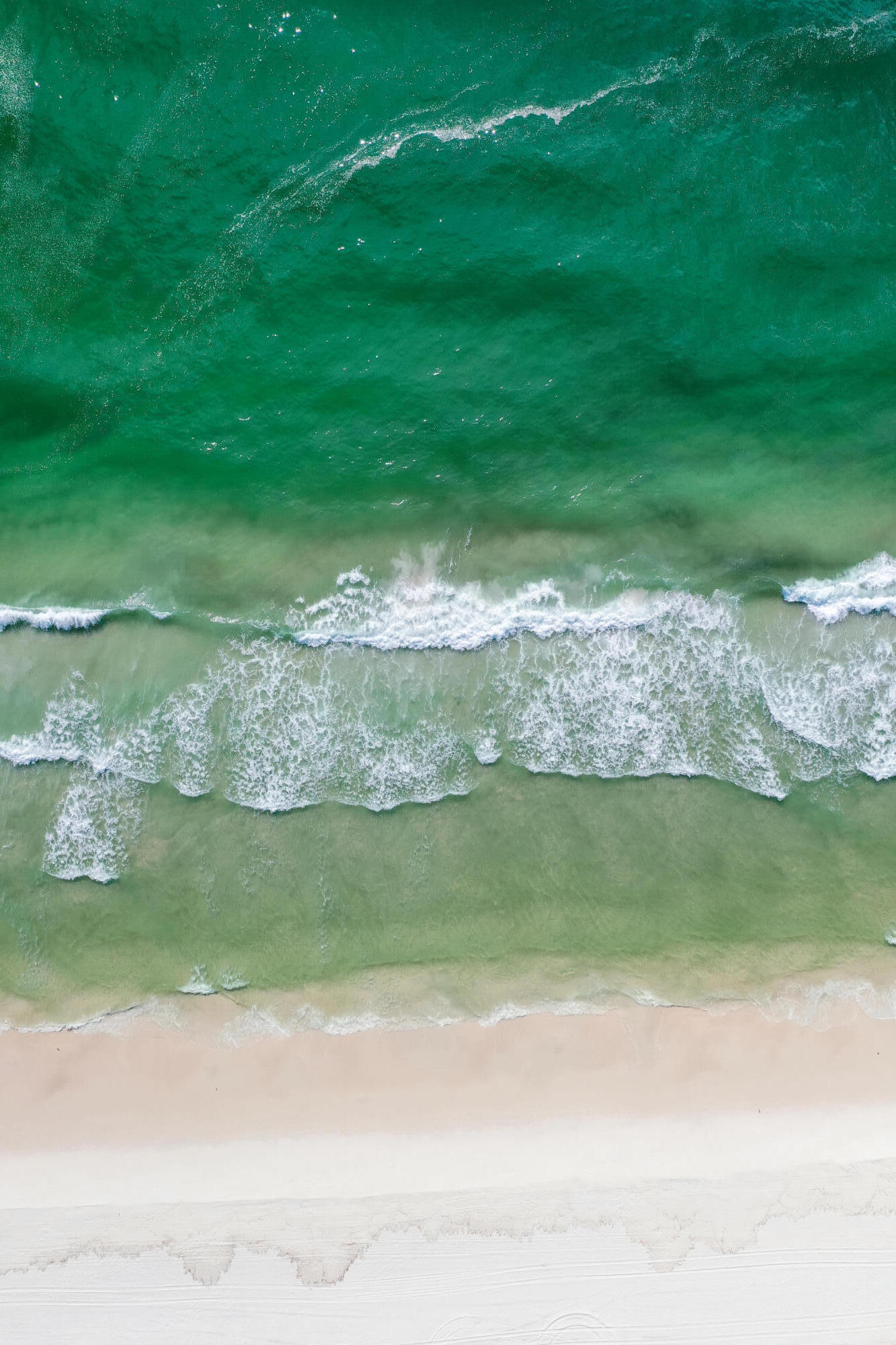 23 East York Ln Inlet Beach, Unit A Inlet Beach, FL 32461 - Photo 51 of 51 a view of a garden with a wooden floor