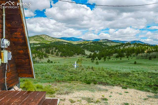 2529 Julia Road Guffey, CO 80820 - Photo 23 of 47