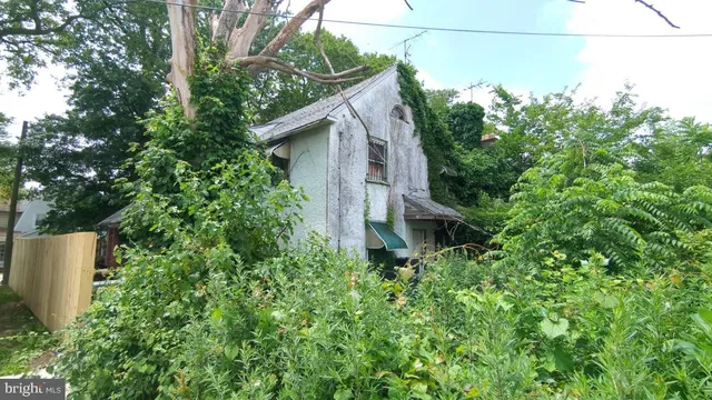 a backyard of a house with plants and tree