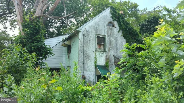 a view of a small garden