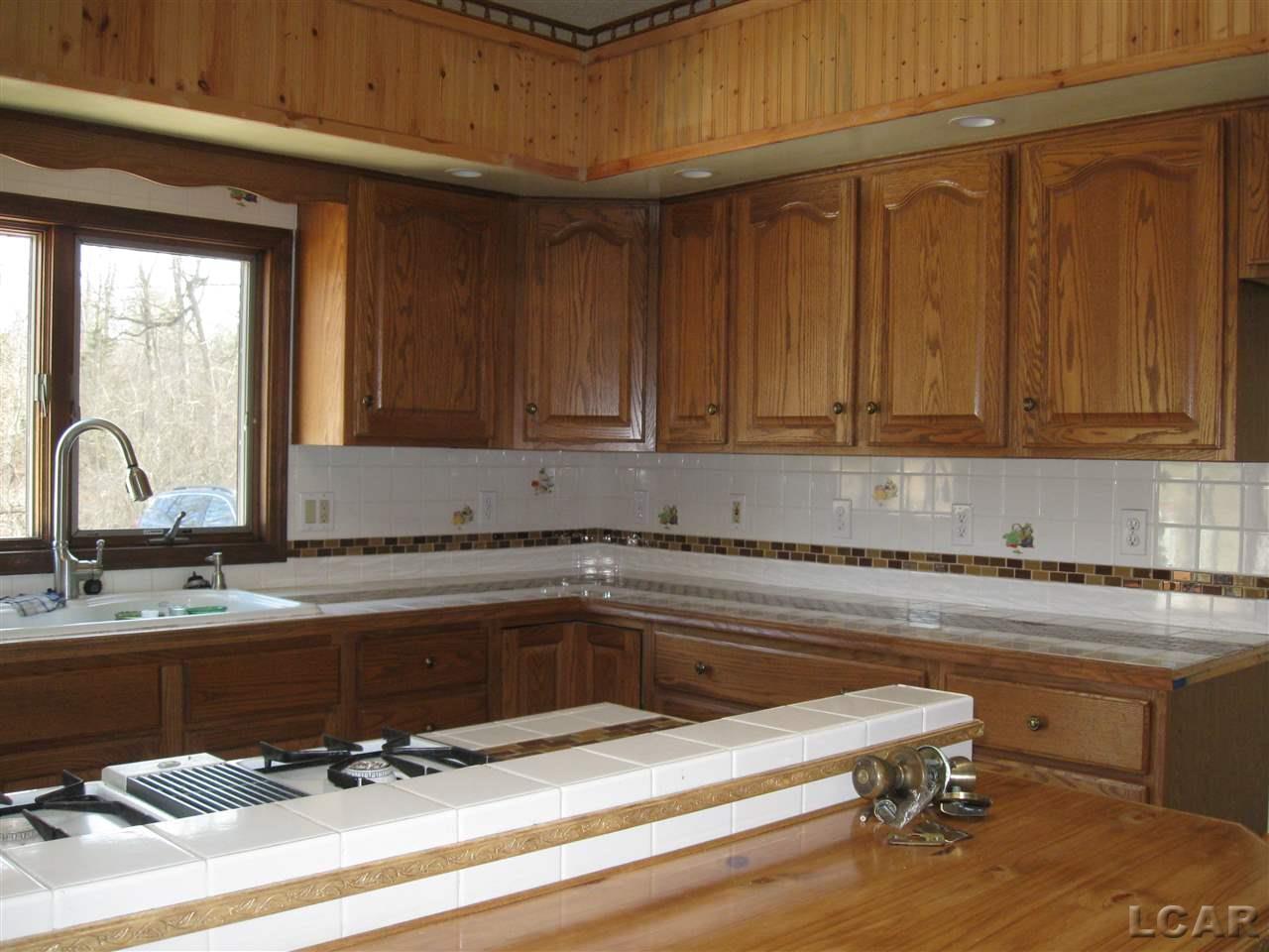 10239 Bridge Road Onsted, MI 49265 - Photo 7 of 25
