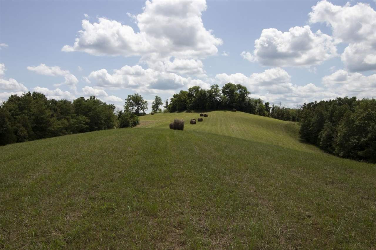 0 Ashbrook Road Williamstown, KY 41097 - Photo 4 of 17 Gallery Image 4