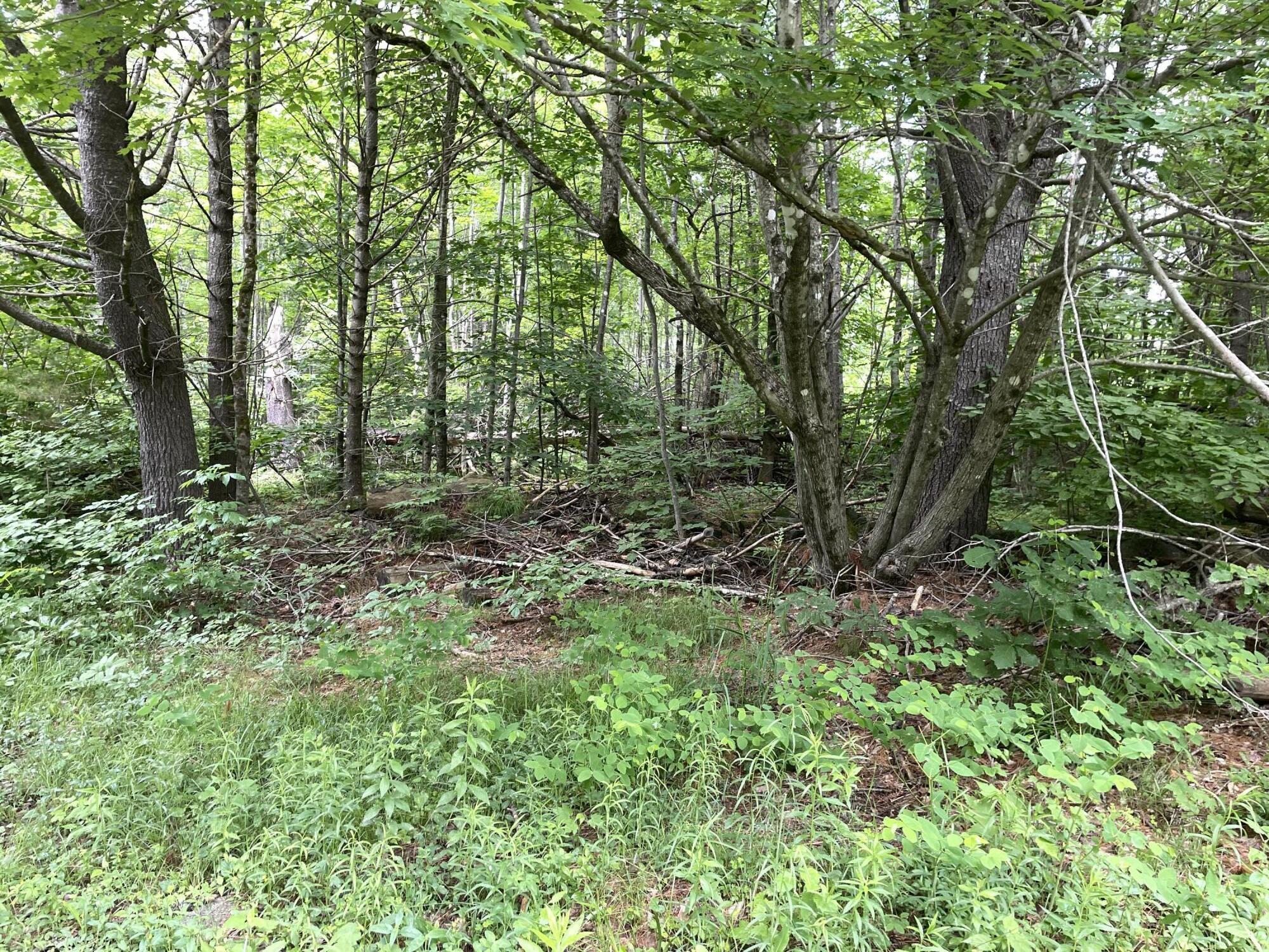 # Huff Corner Road Wellington, ME 04942 - Photo 7 of 7 IMG_2634