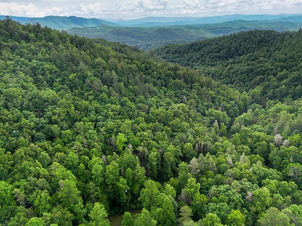 1070 Morgan Creek Road Marble, NC 28905 - Photo 22 of 40
