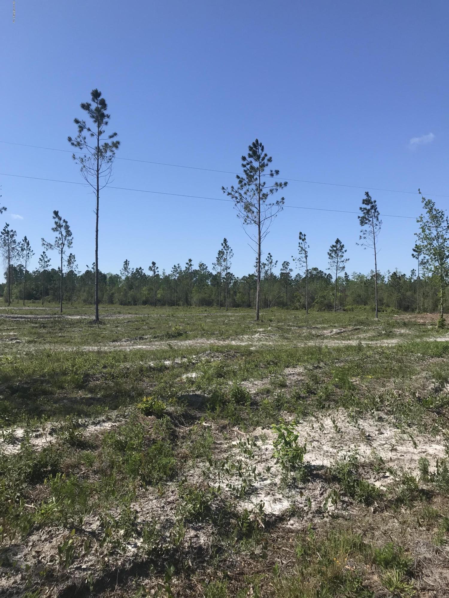 0 Co Road Hilliard, FL 32046 - Photo 11 of 15 IMG_8512