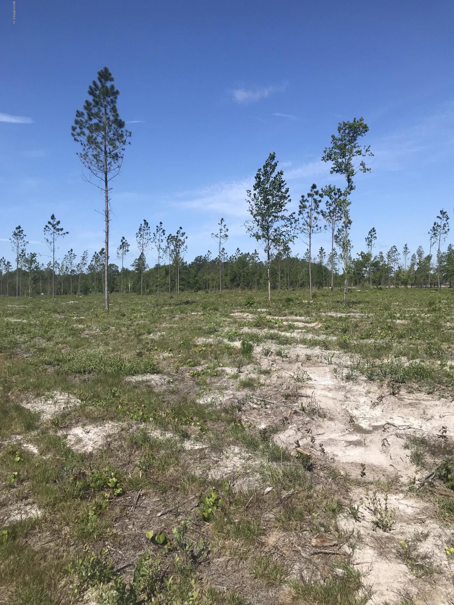 0 Co Road Hilliard, FL 32046 - Photo 5 of 15 IMG_8501
