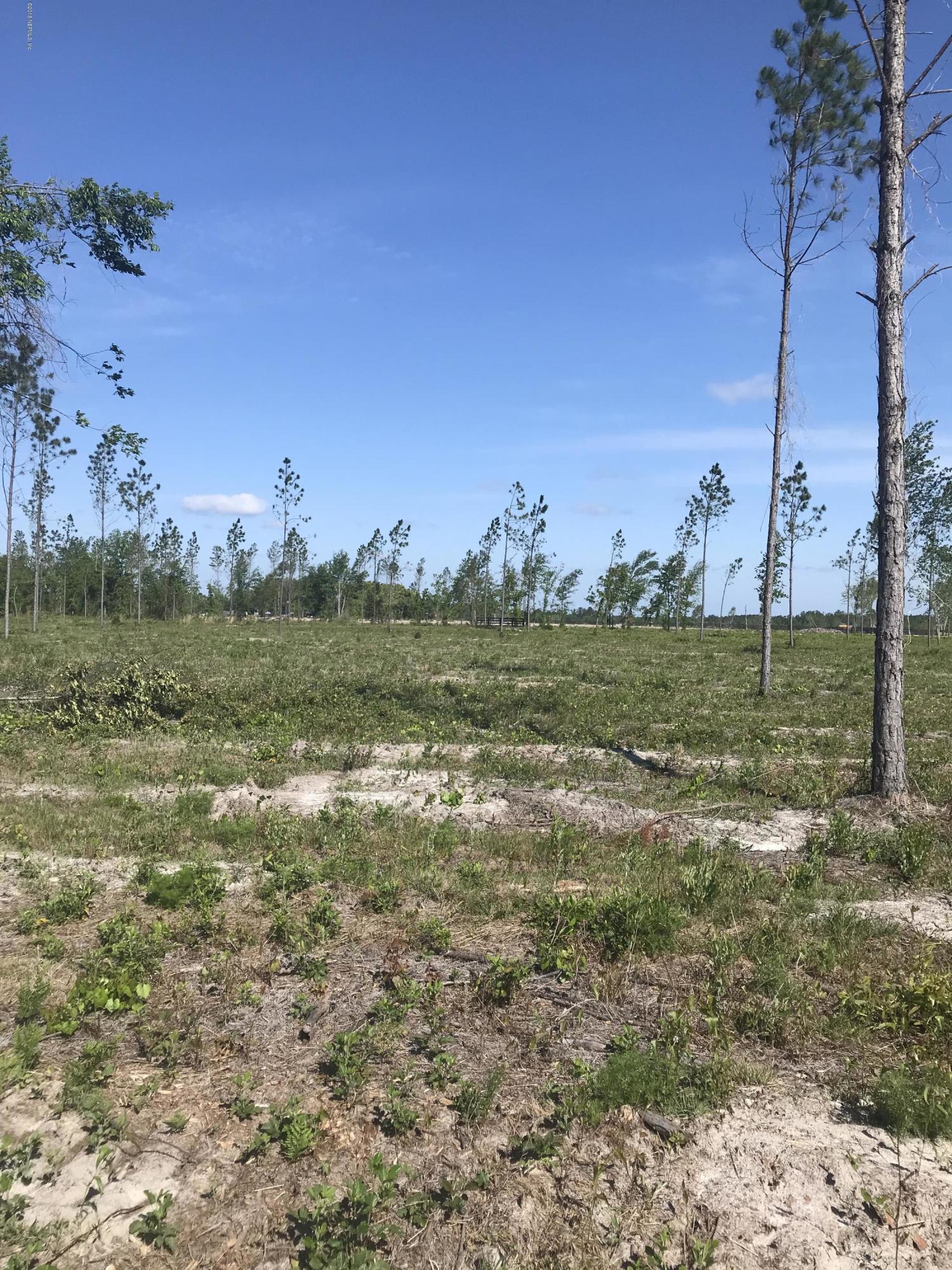 0 Co Road Hilliard, FL 32046 - Photo 6 of 15 IMG_8507