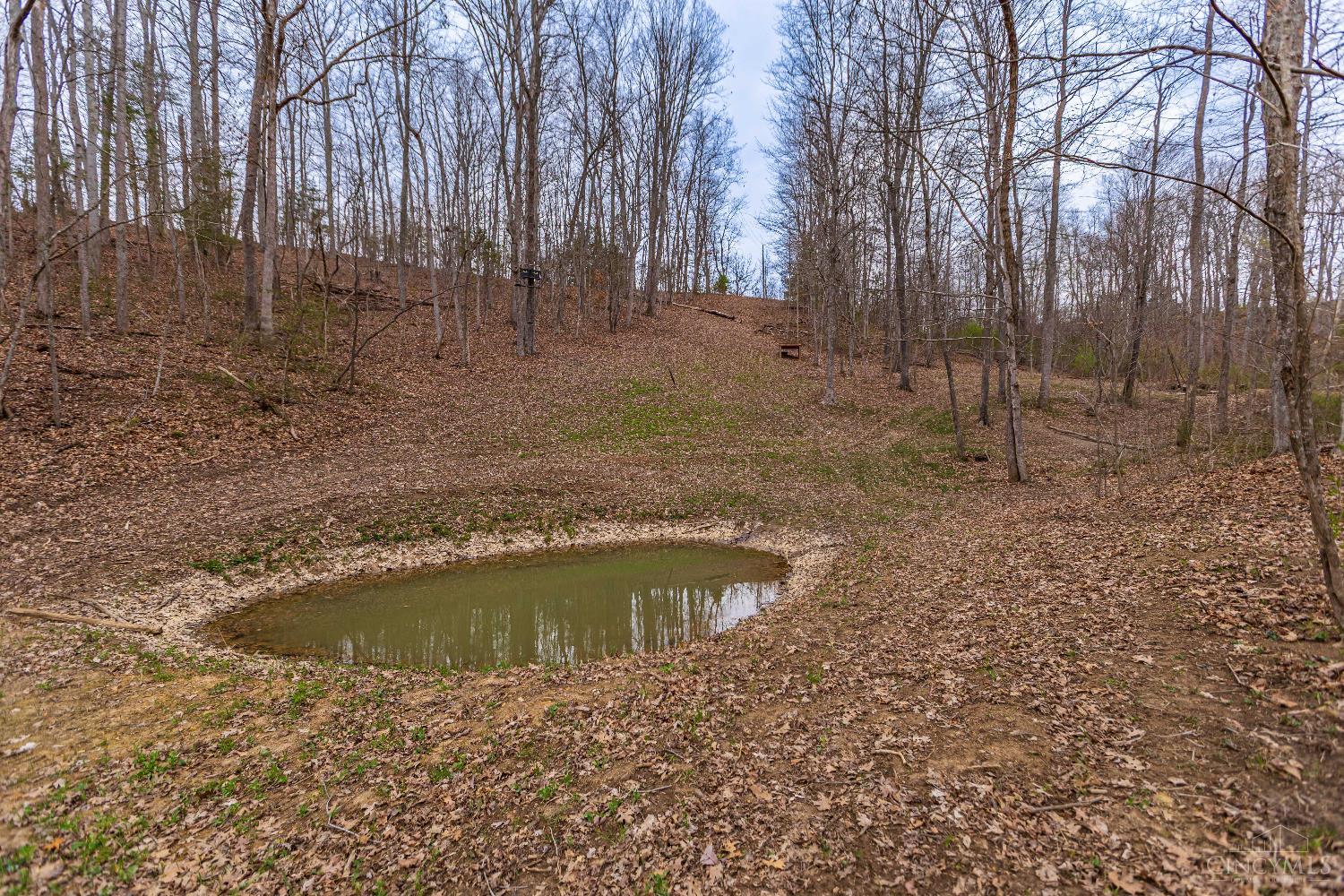 1025 Davis Road Peebles, OH 45660 - Photo 47 of 63