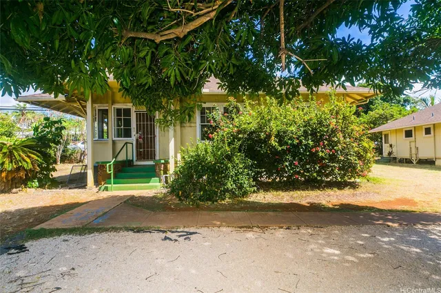 a view of a yard with plants and trees