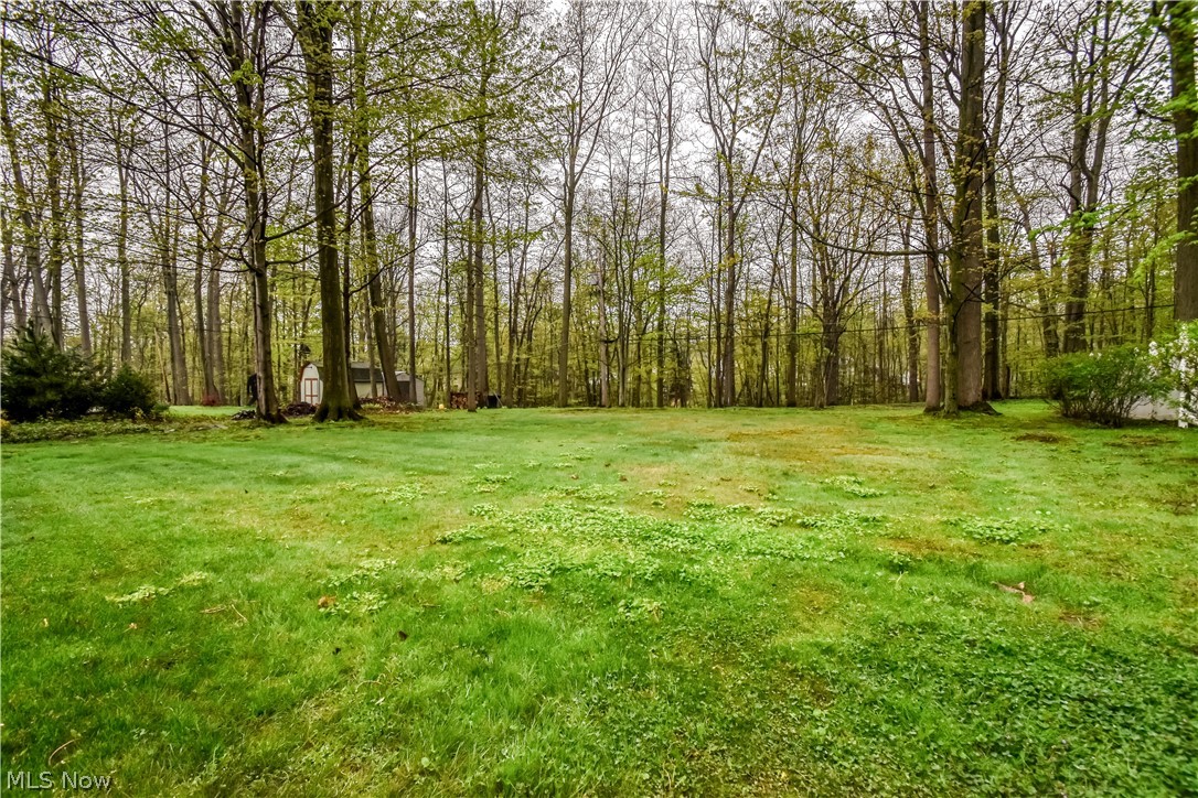 8242 Starburst Road Mentor, OH 44060 - Photo 24 of 37 Expansive green lawn with mature trees bordering the property