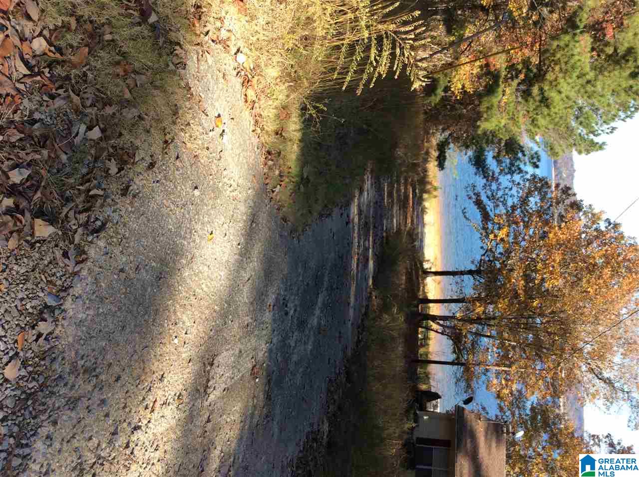 Co Rd 875-lot#5 Southeast Co Road, Unit LOT#5 Crane Hill, AL 35053 - Photo 5 of 5