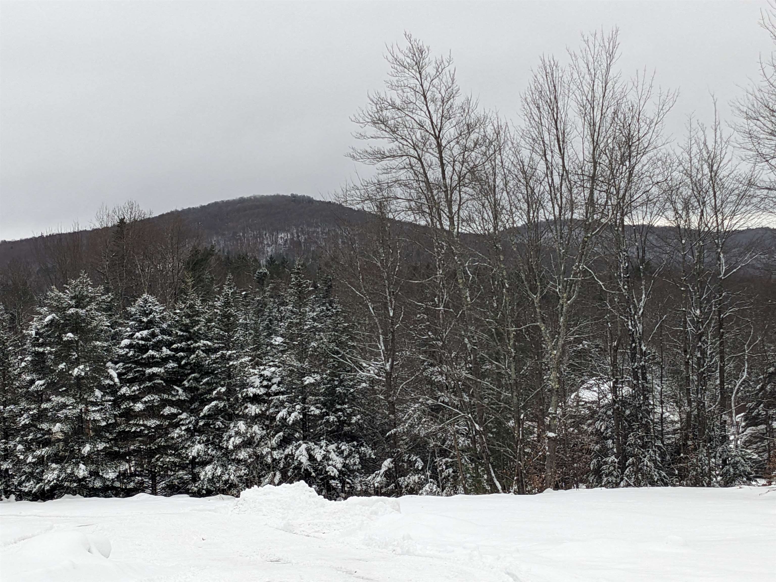 5601 Upper Cold River Road Shrewsbury, VT 05738 - Photo 11 of 56