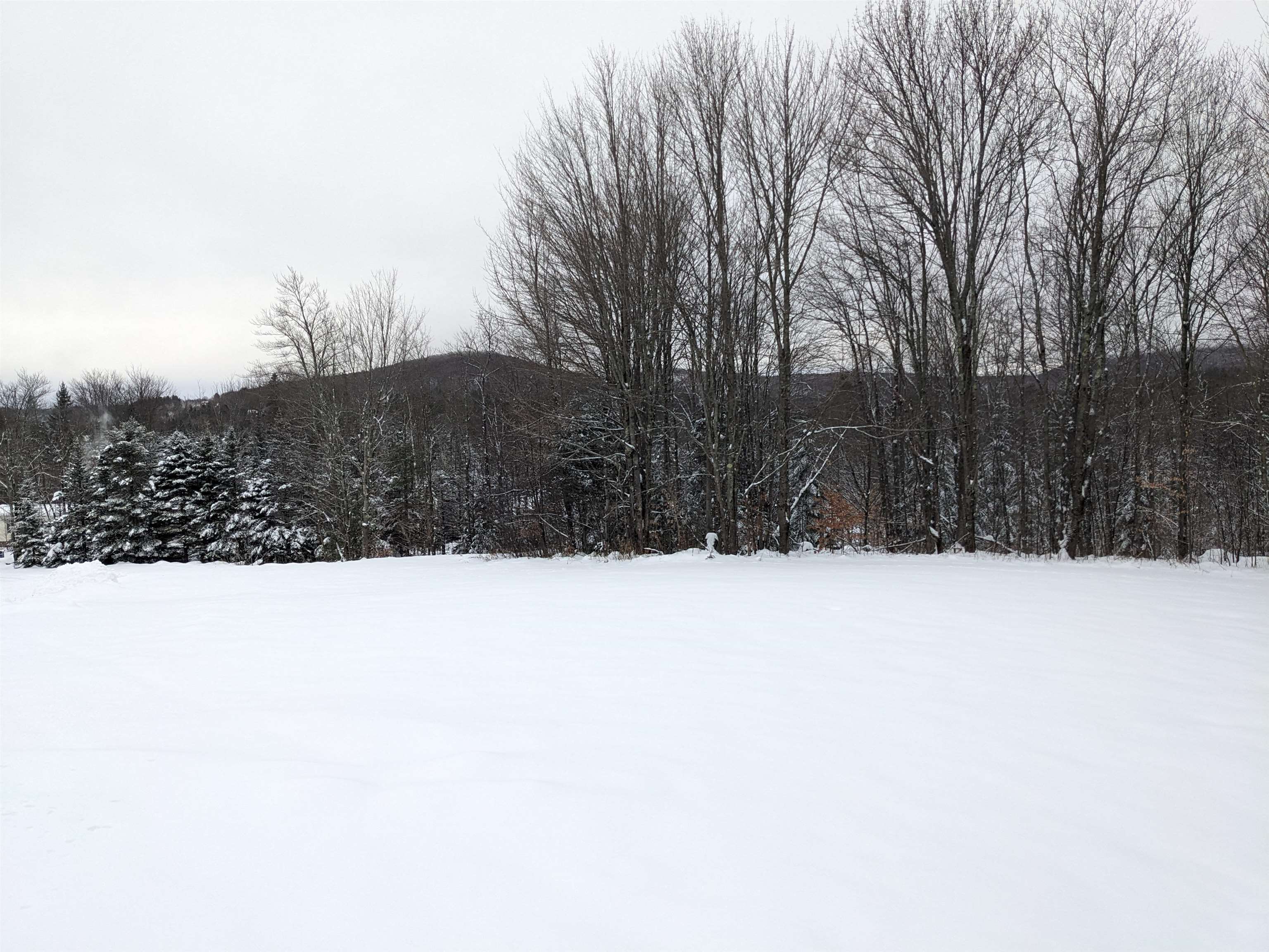 5601 Upper Cold River Road Shrewsbury, VT 05738 - Photo 16 of 56