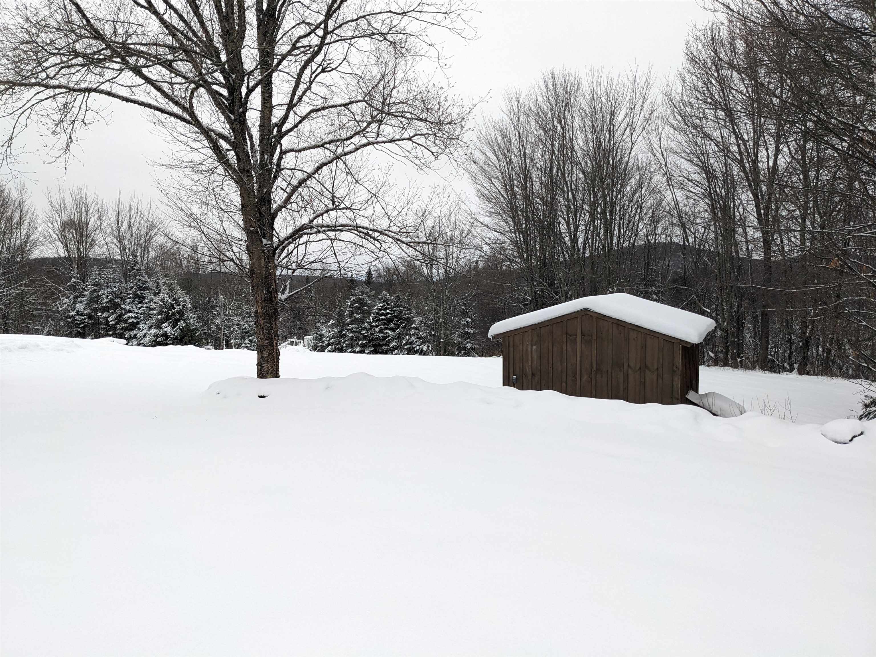 5601 Upper Cold River Road Shrewsbury, VT 05738 - Photo 42 of 56