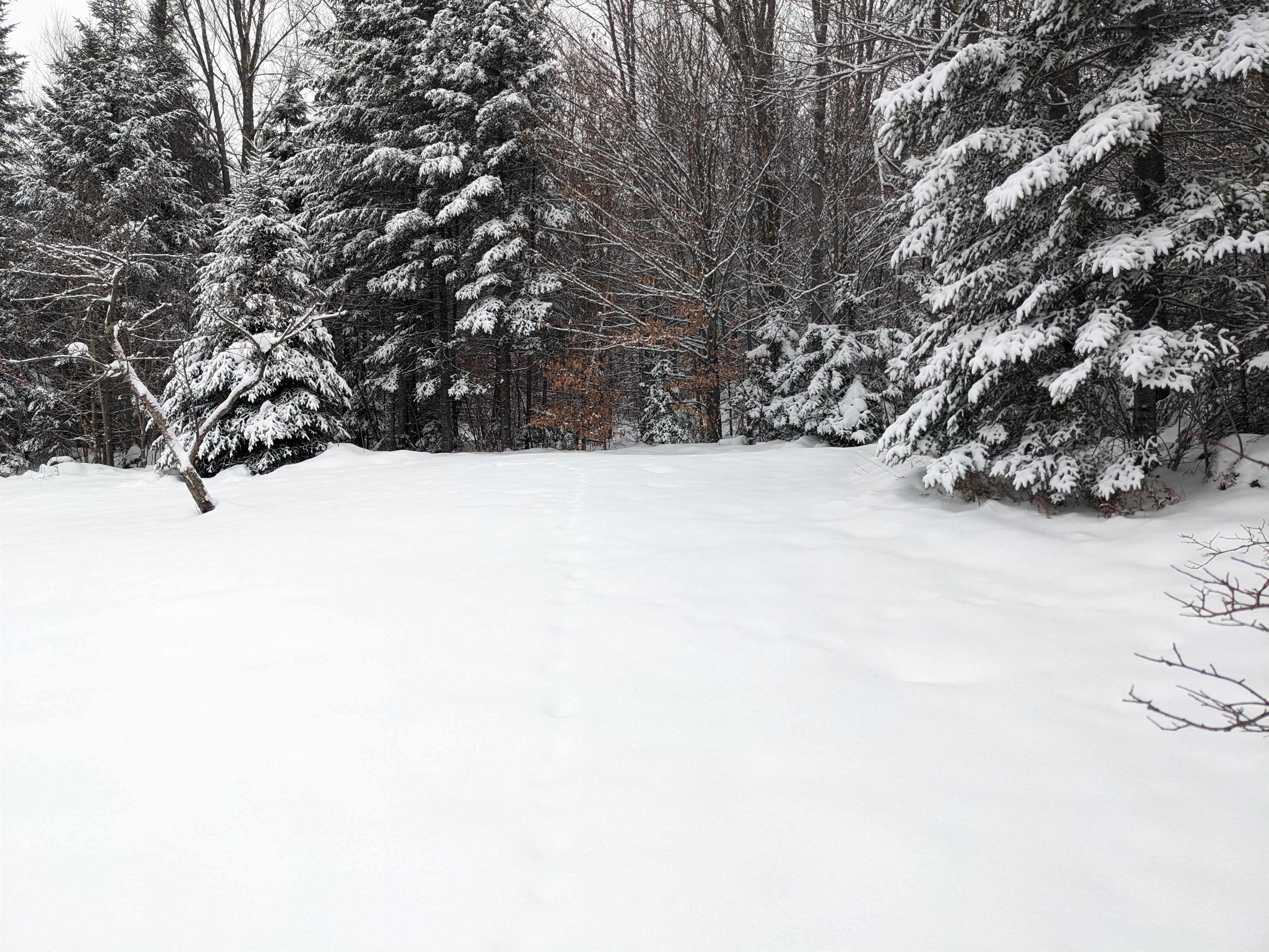 5601 Upper Cold River Road Shrewsbury, VT 05738 - Photo 46 of 56