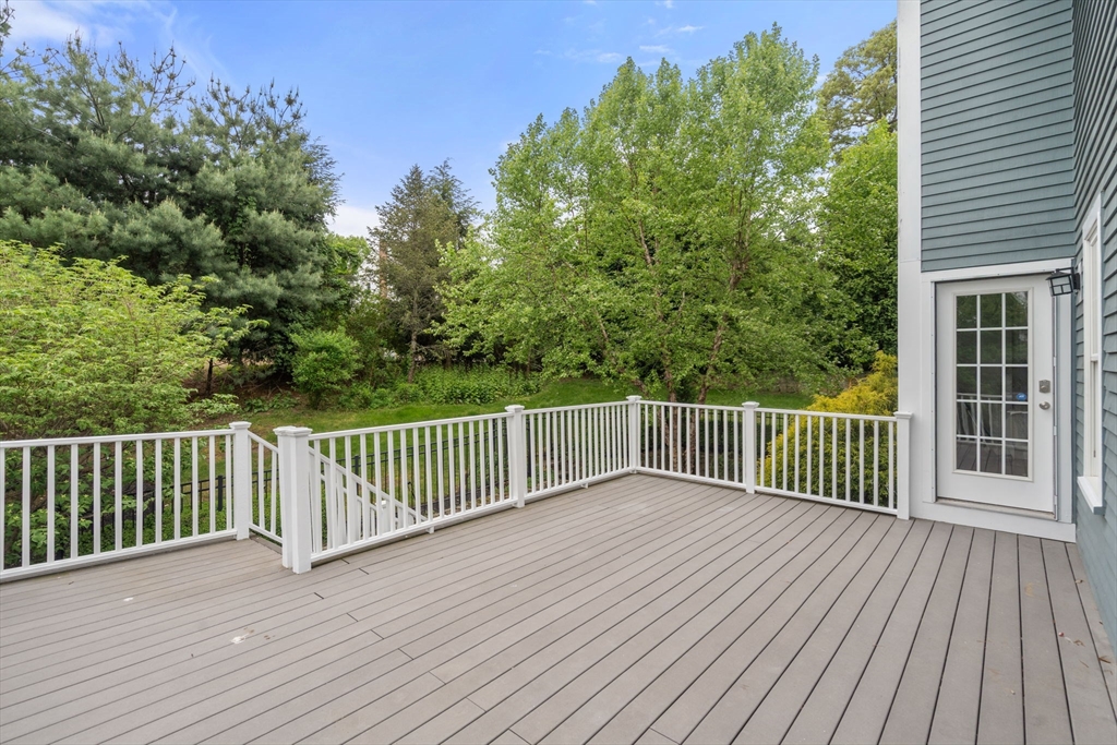 19 Dunedin Road Wellesley, MA 02481 - Photo 37 of 38