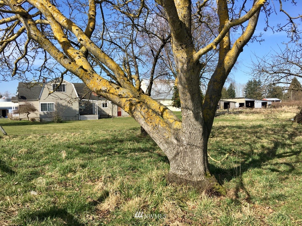 22735 Rhodes Road Sedro-Woolley, WA 98284 - Photo 14 of 17 Gallery Image 14