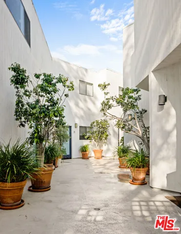a view of a backyard with potted plants