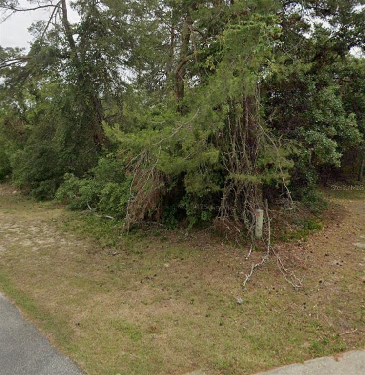 Southwest 37th Court Ocala, FL 34473 - Photo 2 of 2