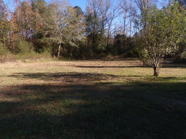 1211 Central Road Thomson, GA 30824 - Photo 12 of 17 Backyard