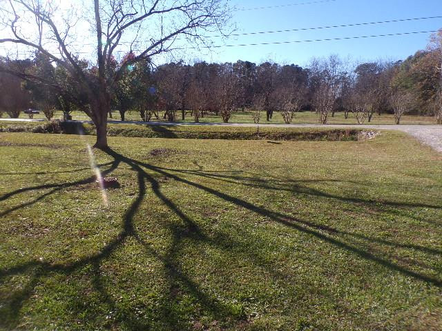 1211 Central Road Thomson, GA 30824 - Photo 13 of 17 Front yard