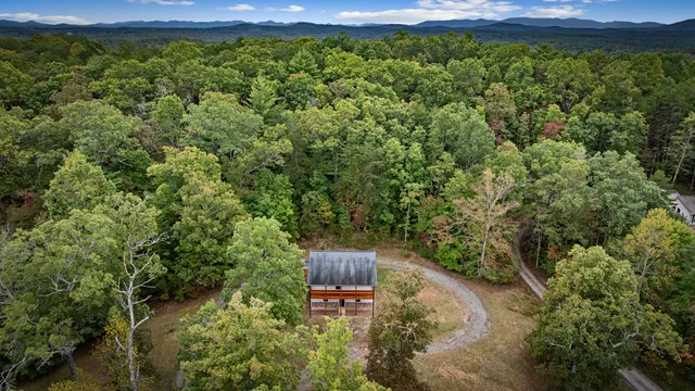 a view of a yard with an outdoor and trees