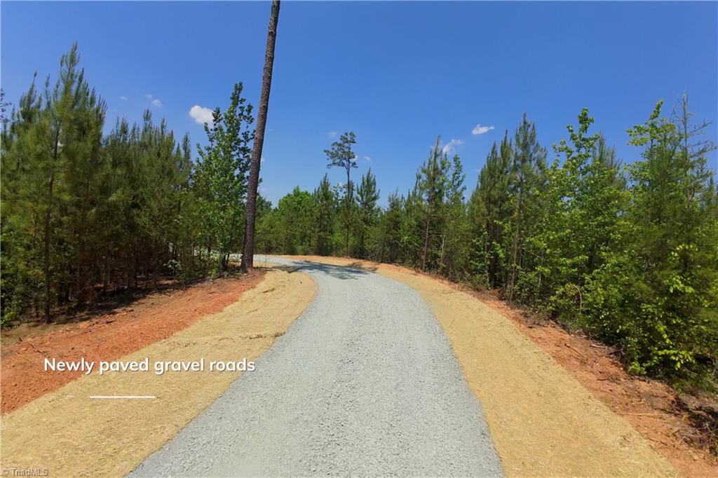 9 Roby Fulk Road Pinnacle, NC 27043 - Photo 14 of 17