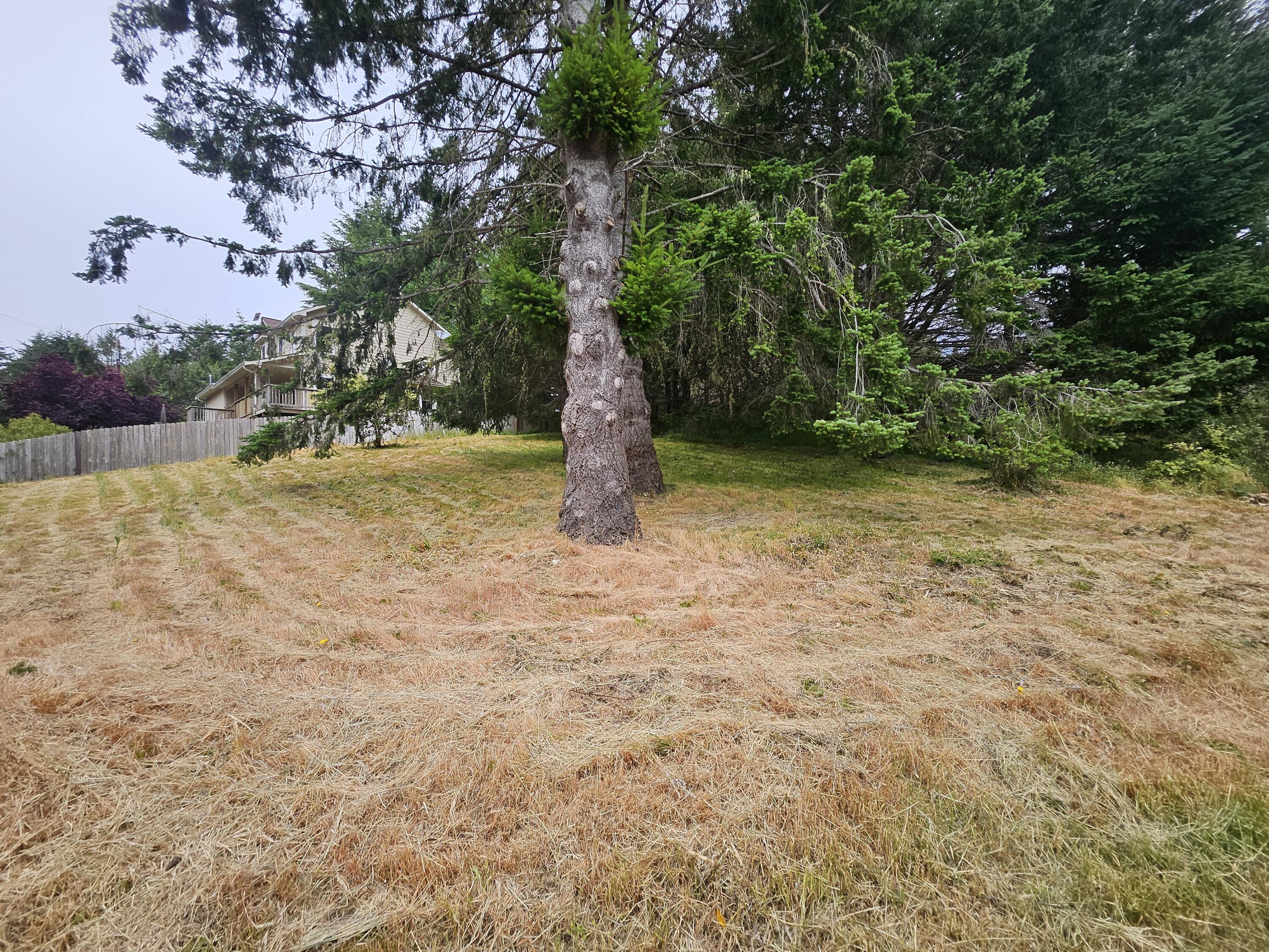 299 Vista Road Shelter Cove, CA 95589 - Photo 4 of 12