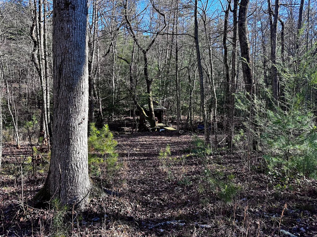 6-7 Idle Lane Blue Ridge, GA 30513 - Photo 14 of 27 View of Property