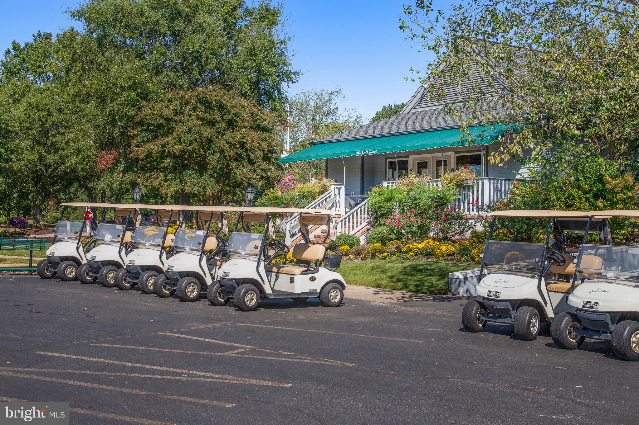 324 Walkabout Road Bethany Beach, DE 19930 - Photo 48 of 53 Golf Carts