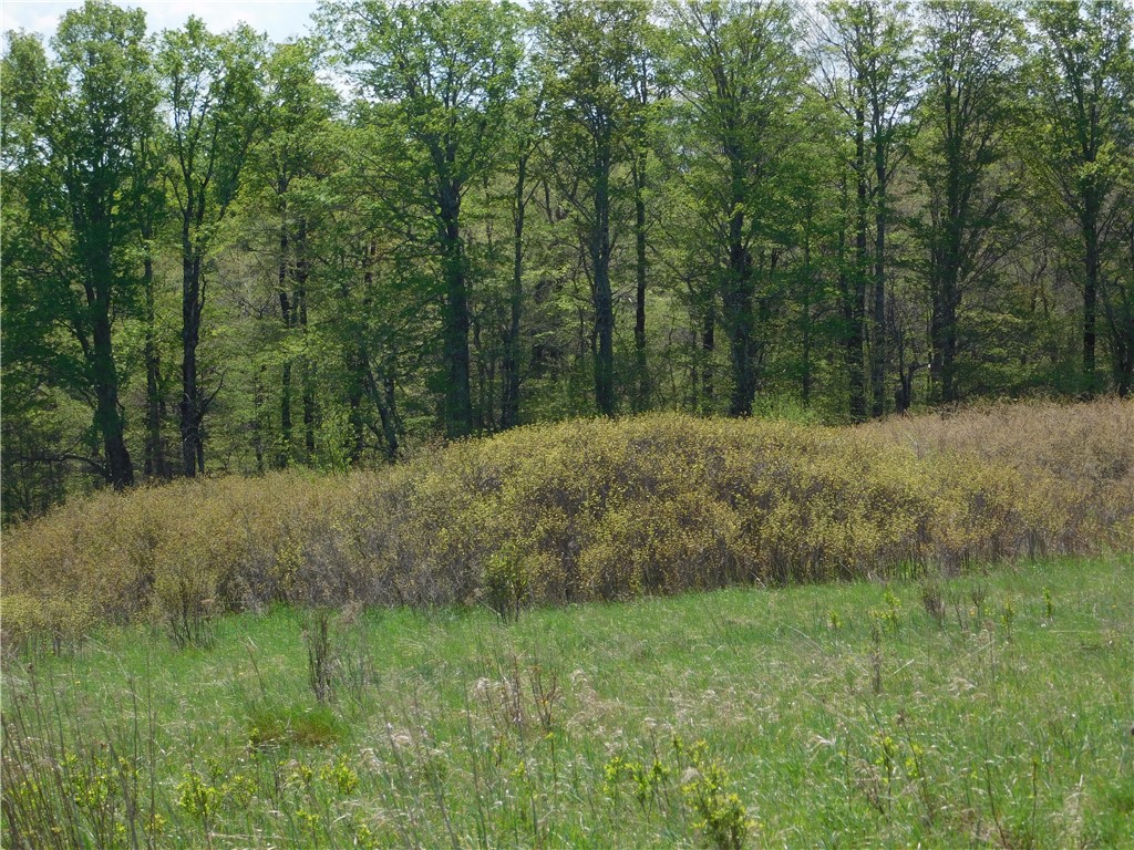 260 Boughton Road Worcester, NY 12197 - Photo 4 of 7