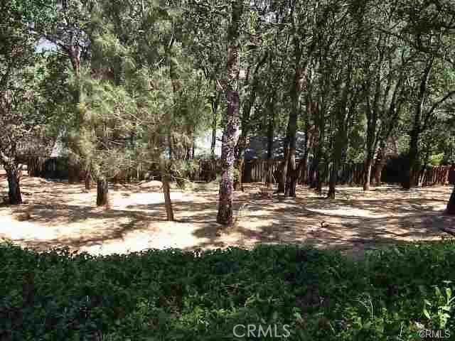 7891 Soda Bay Road Kelseyville, CA 95451 - Photo 3 of 7