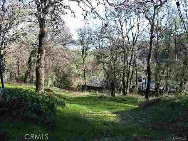 7891 Soda Bay Road Kelseyville, CA 95451 - Photo 4 of 7