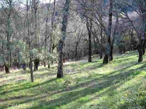 $24,000 | 7891 Soda Bay Road, Kelseyville, CA 95451