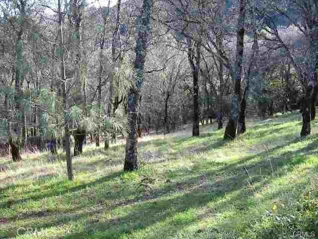 7891 Soda Bay Road Kelseyville, CA 95451 - Photo 6 of 7