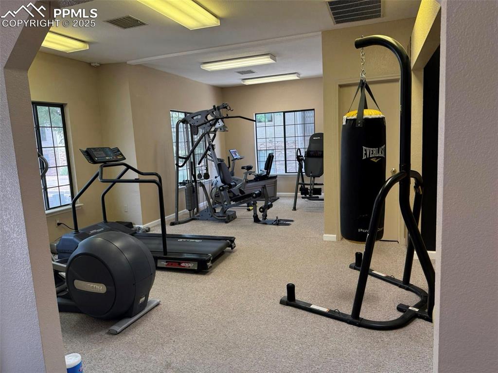 2190 Alicia Point, Unit 101 Colorado Springs, CO 80919 - Photo 32 of 33 a view of a room with gym equipment