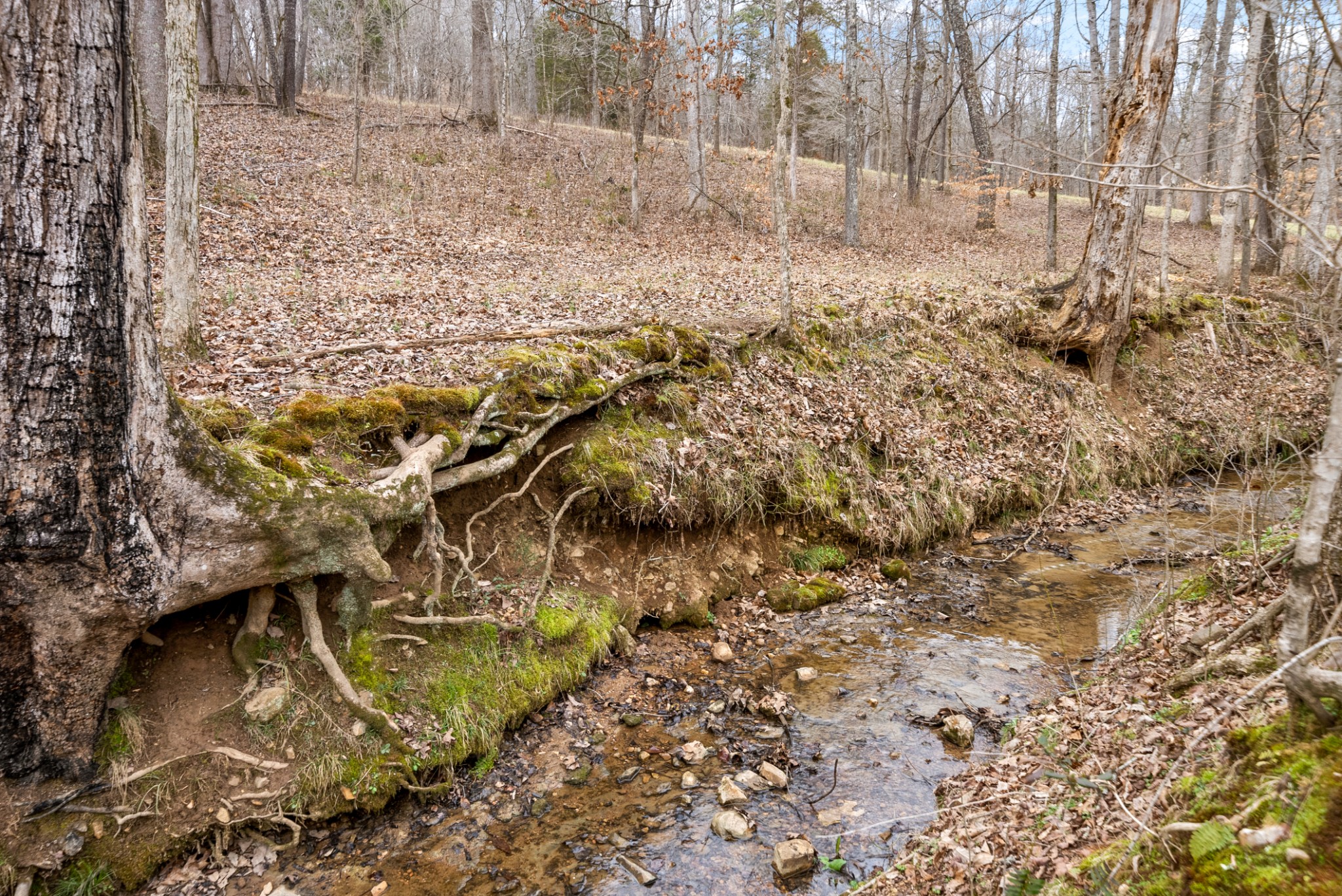 4630 Lylewood Road Indian Mound, TN 37079 - Photo 46 of 57 Gallery Image 46