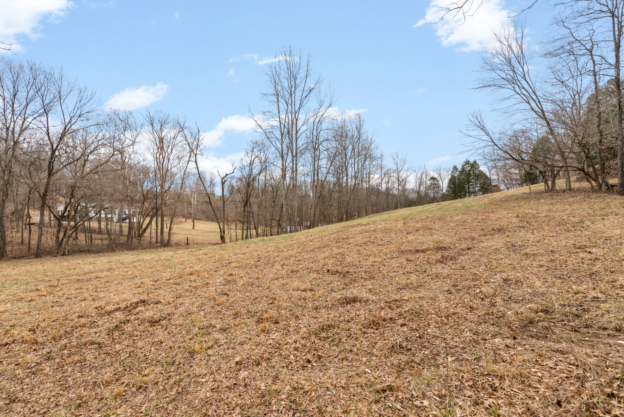4630 Lylewood Road Indian Mound, TN 37079 - Photo 50 of 57 Gallery Image 50