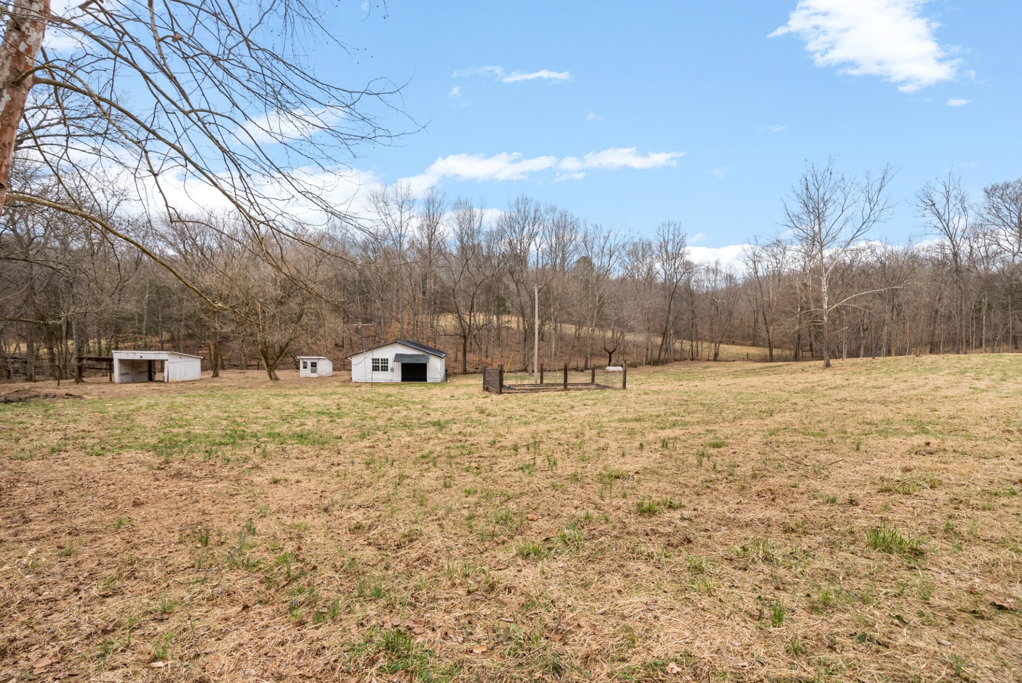 4630 Lylewood Road Indian Mound, TN 37079 - Photo 53 of 57 Gallery Image 53