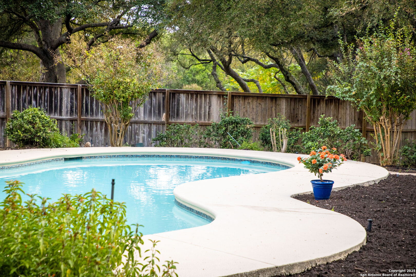 9606 Meadow Rue Garden Ridge, TX 78266 - Photo 8 of 66