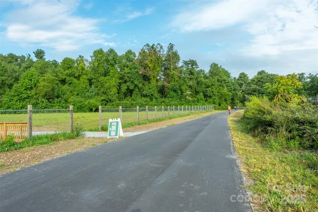 a view of a park with plants and large trees