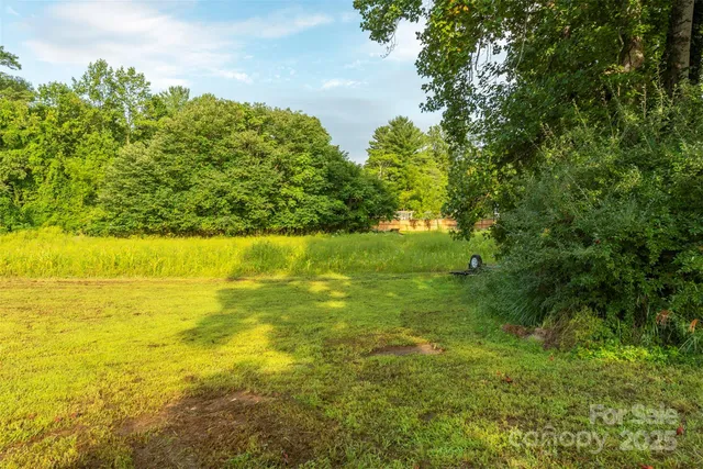 a view of an ocean from a yard