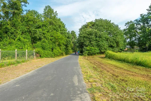 a view of a yard with plants and large trees