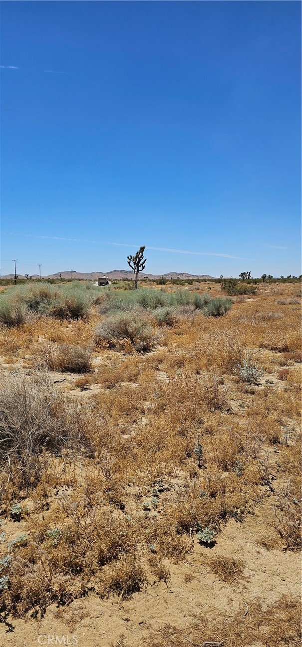 a view of ocean beach