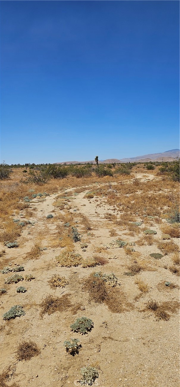 0 Longhorn Avenue Mojave, CA 93501 - Photo 2 of 5 the road to the property
