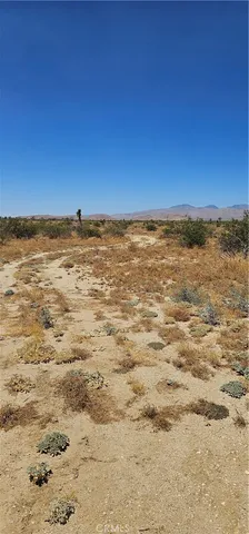 a view of a ocean with a mountain